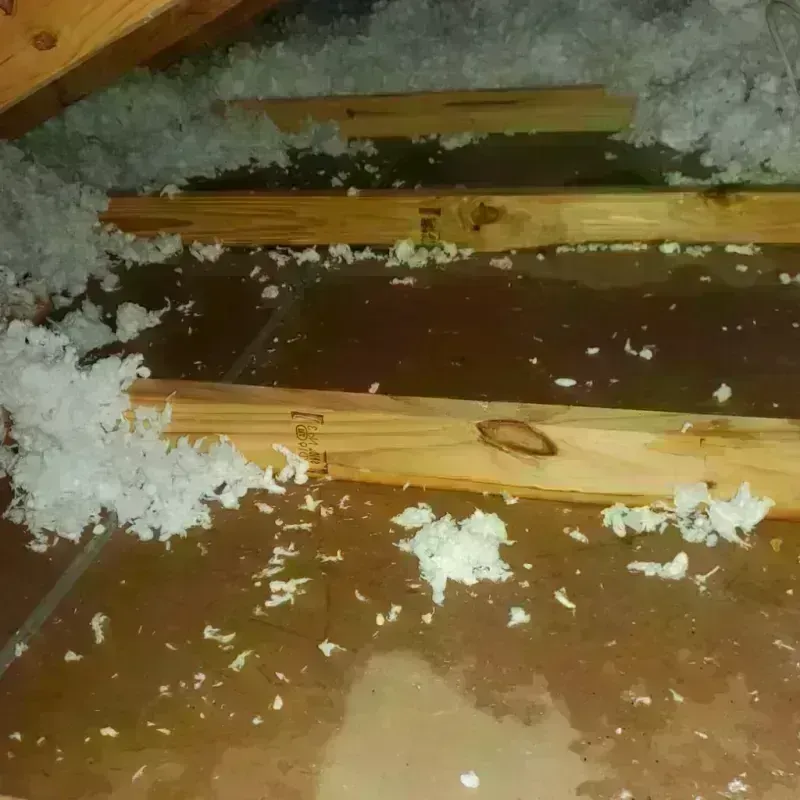 Attic Water Damage in Bay Shore, NY